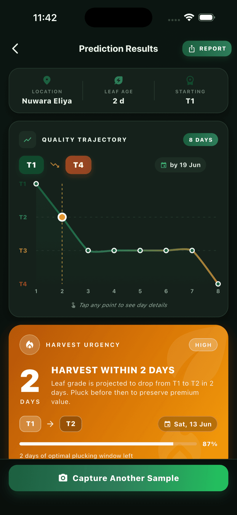 TeaOptima app — AI grading result screen